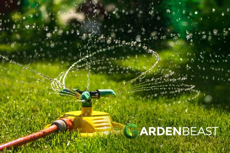 Image result for Above Ground PVC Sprinkler System