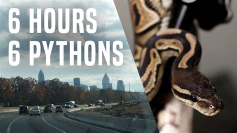 Image result for Python for 6 Hours Intermediate