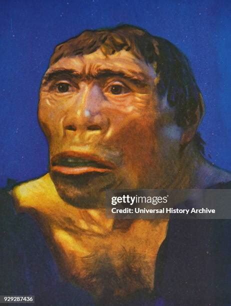 Image result for Java Men's