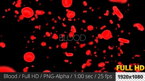 Afbeeldingsresultaten voor Blood Motion Graphics