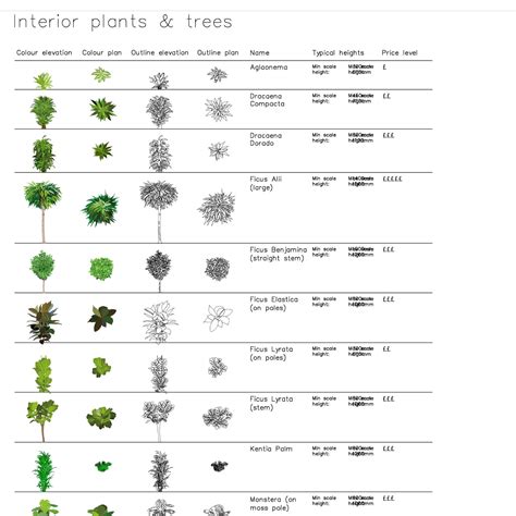 Image result for Plan View Plant Symbols