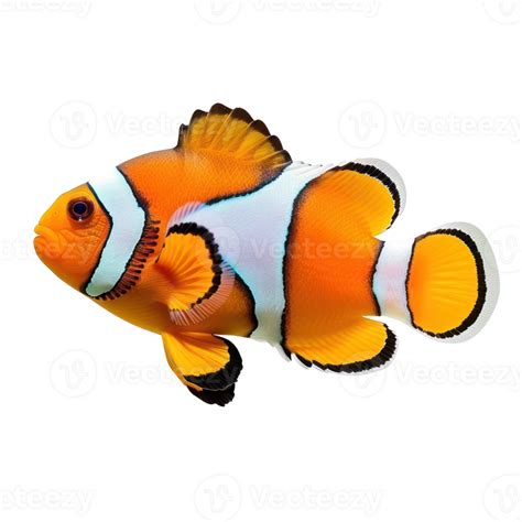 Image result for Transparent Snapping Fingers