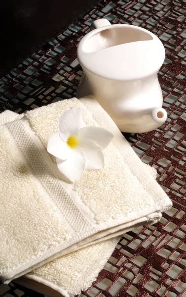 Image result for Neti Pot Images