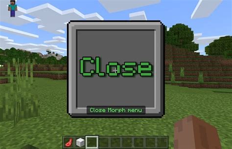 Minecraft morph addon latest എന്നതിനുള്ള ഇമേജ് ഫലം