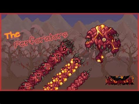 Image result for Perforators Calamity