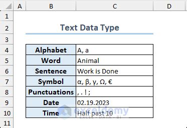 Data Types in Excel에 대한 이미지 결과