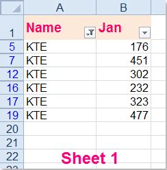 Excel Paste Data with Filter ಗಾಗಿ ಇಮೇಜ್ ಫಲಿತಾಂಶ