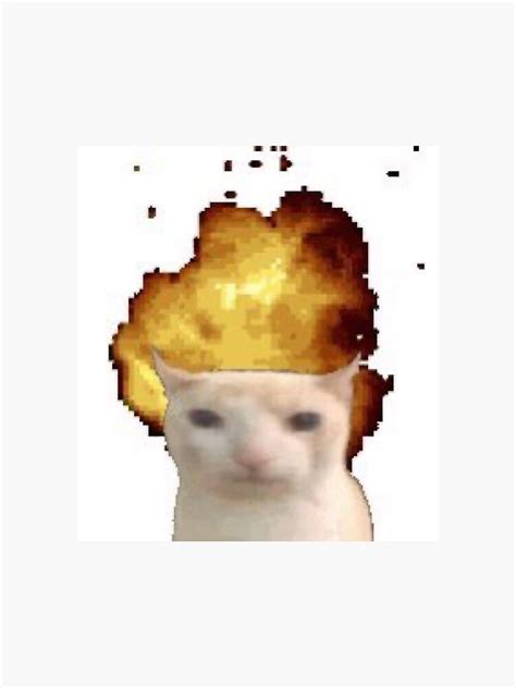 Image result for Nuke Explosion Cat Face Meme