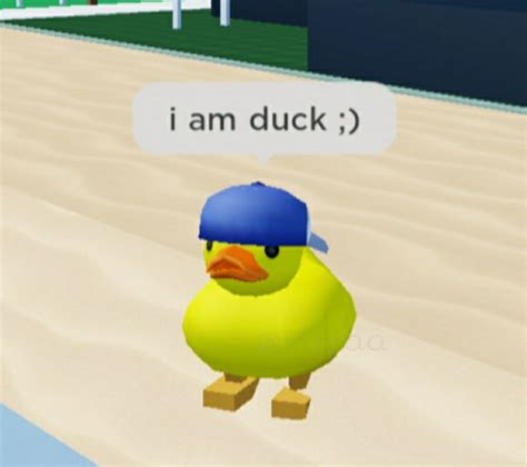 Image result for Roblox Rubber Duck PFP