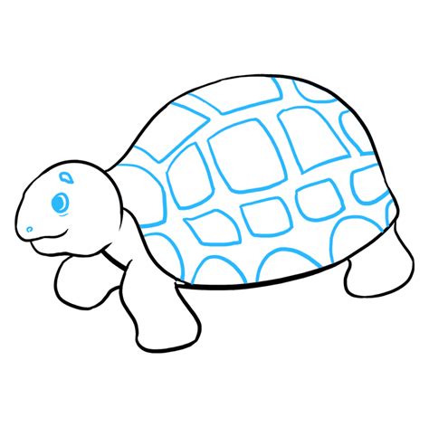 Afbeeldingsresultaten voor Sea Turtle Drawing Steps
