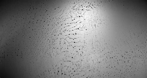 Quixel Logo に対する画像結果