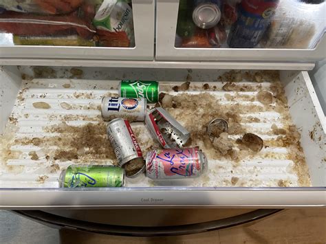 Image result for Propane Refrigerator Explosion