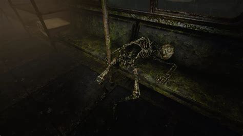 Image result for Fallout 4 Skeleton
