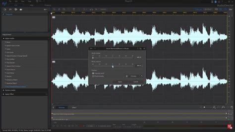 Image result for AudioDirector