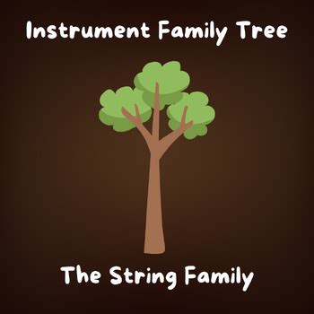 Image result for Musical Instruments String Family