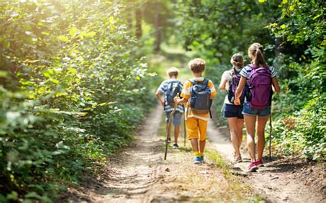 Image result for Decouverte Du Milieu