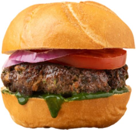 Image result for Roblox Cheeseburger Character