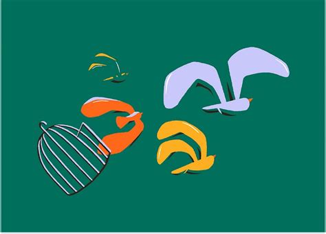 Image result for Substack Layouts