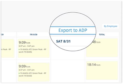 Image result for ADP Time Breakdown