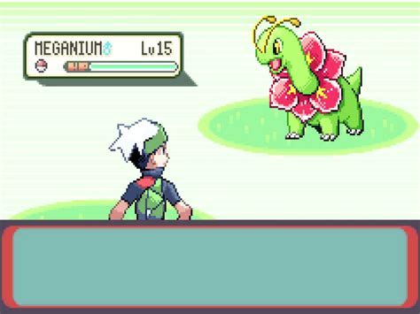 Image result for Pokemon Emerald Randomizer