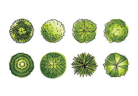 Image result for Tree Symbol Plan Vector