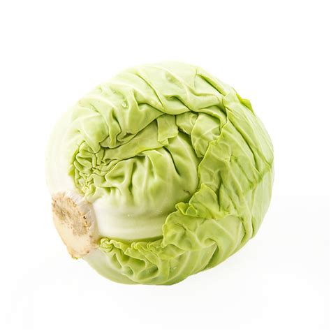 Image result for Cabbage