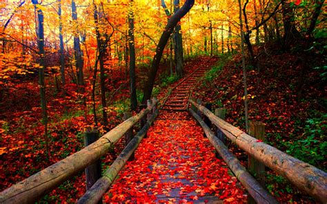 Image result for Fall Seasons