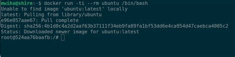 Docker Create Ubuntu Container Command に対する画像結果