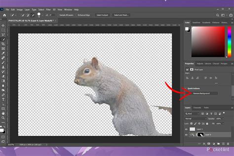 Image result for Adobe Photoshop Remove Background