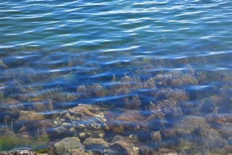 Image result for Decouverte Du Milieu