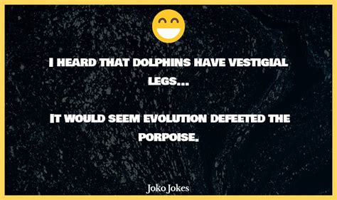 Image result for Evolution Cartoon Jokes
