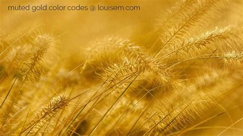 Image result for True Gold Hex Code