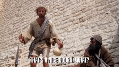 Image result for Gorged Python