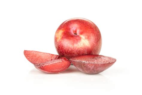 Image result for Red Plumcot