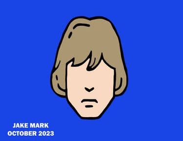 Image result for Roblox Luke Skywalker Face