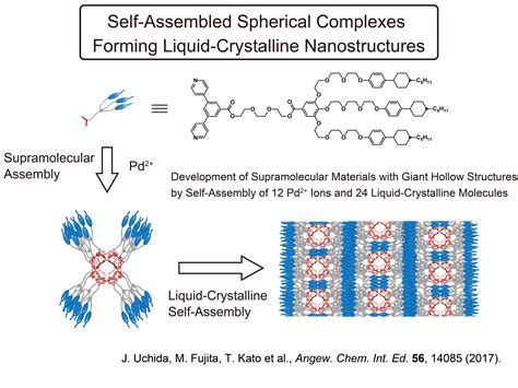 Toradh íomhá ar Liquid Crystal Polymer