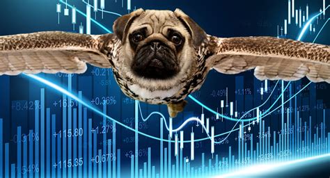 Percentages in Procenten に対する画像結果