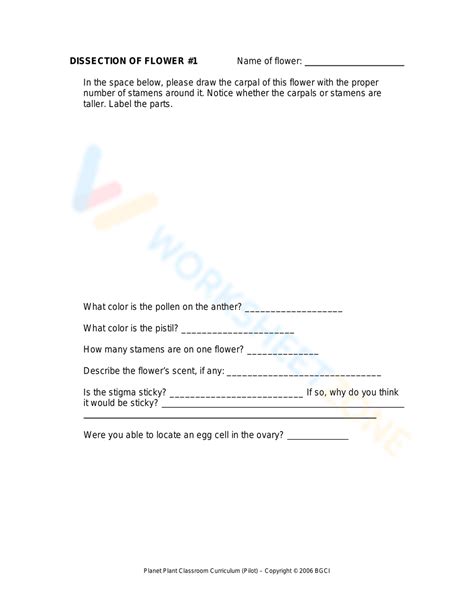 Lab Code Sheet for Tio ಗಾಗಿ ಇಮೇಜ್ ಫಲಿತಾಂಶ