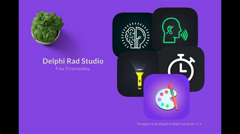 Image result for Delphi Rad