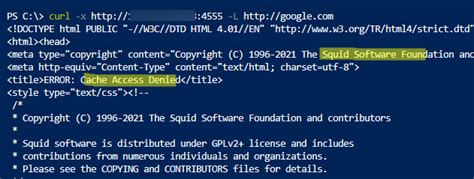 Linux Proxy Server に対する画像結果
