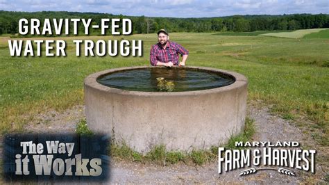 Image result for Connecting Water Trough in Field