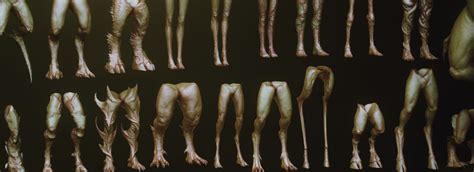 Image result for Creature Legs Reference 3D Model