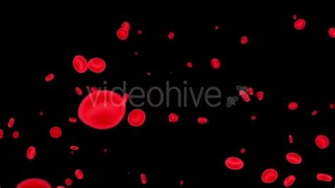 Afbeeldingsresultaten voor Blood Motion Graphics