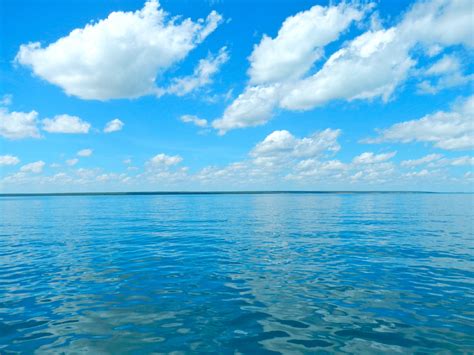 Image result for Sea Wave Pattern Decoration