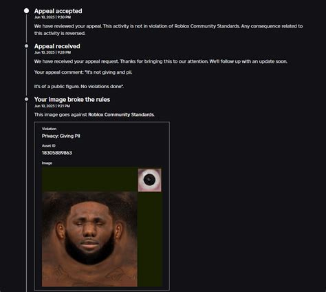 Violation and Appeal List with Violation in Roblox に対する画像結果