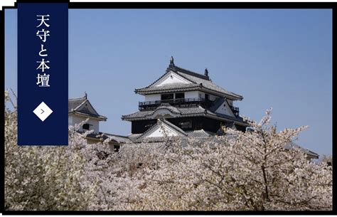 Image result for 松山 城
