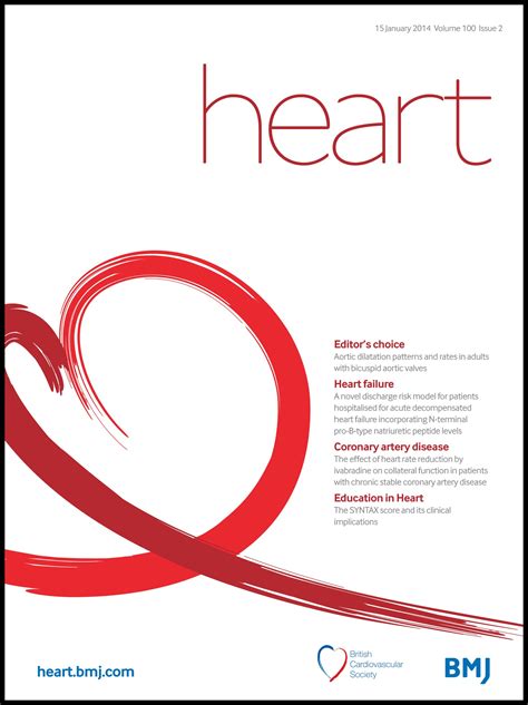 Image result for Syntax Score Chart