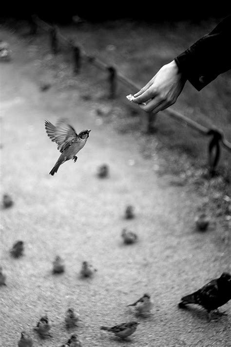 card | Flickr