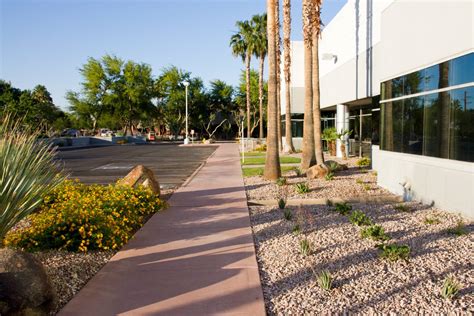 Image result for Planting in Landscape Construction