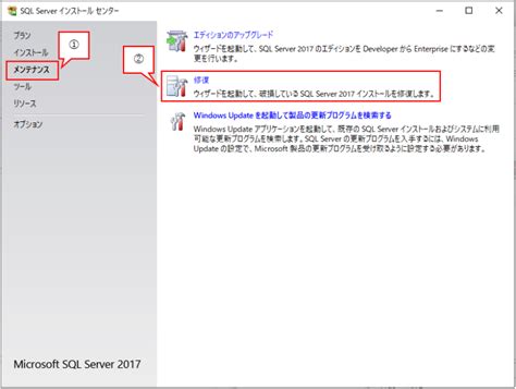 Issues of SQL Server While Connection to Instaces に対する画像結果